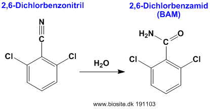 Omdannelsen af 2,6-dichlorbenzonitril til BAM