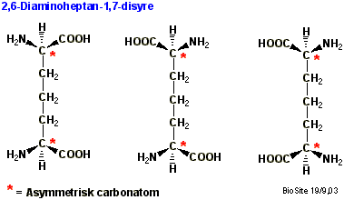 De tre isomere former af diaminopimelinsyre