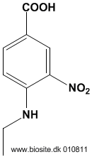 Strukturen af 4-(ethylamino)-3-nitrobenzoesyre