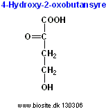 Strukturen af 4-hydroxy-2-oxobutansyre