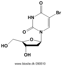 Strukturen af 5-bromo-2'-deoxyuridin