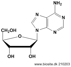 Strukturen af adenosin