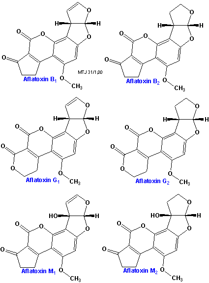 Den kemiske struktur af udvalgte aflatoxiner