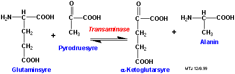 Biosyntesen af aminosyren alanin