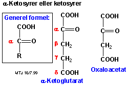 Eksempler på strukturer af alfa-ketosyrer