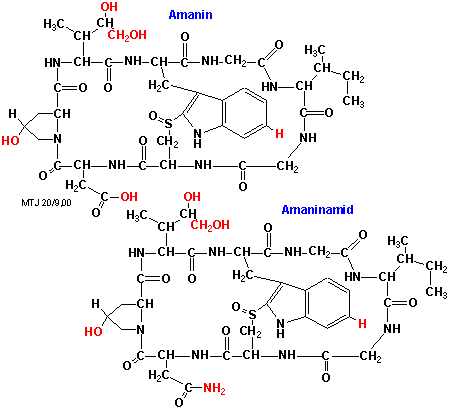 Strukturen af amanin og amaninamid