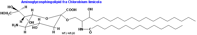 Strukturen af aminosphingolipid
