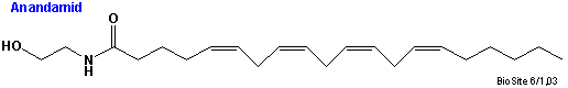 Strukturen af anandamid