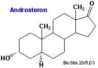 Strukturen af androsteron