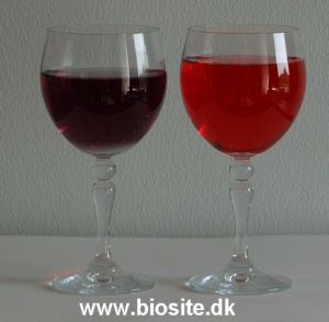Anthocyaninernes farve er pH-afh�ngig