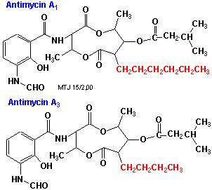 Strukturerne af antimycin A1 og A3