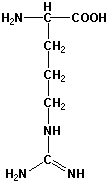 Strukturen af aminosyren arginin
