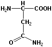 Strukturen af aminosyren asparagin