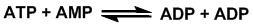 Adenylat kinase reaktionen