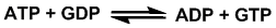 Endvidere kan guanosin triphosphat (GTP), uridin triphosphat (UTP) og cytidin triphosphat (CTP) dannes ud fra ATP: