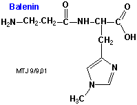 Strukturen af dipeptidet balenin