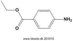 Strukturen af benzocain