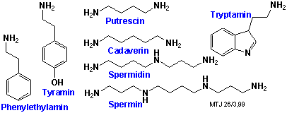 Strukturerne af forskellige biogene aminer