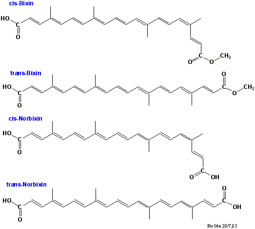 Strukturerne af forskellige bixinformer