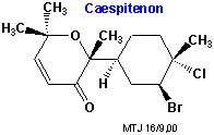 Strukturen af caespitonon