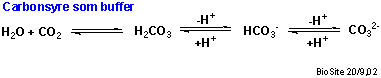 Den kemiske struktur af kulsyre og dens ioner