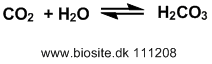 Carbonsyreligev�gten