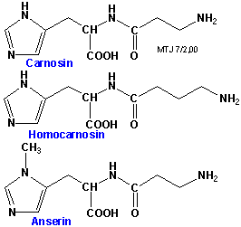 De kemiske strukturer af carnosin, homocarnosin og anserin