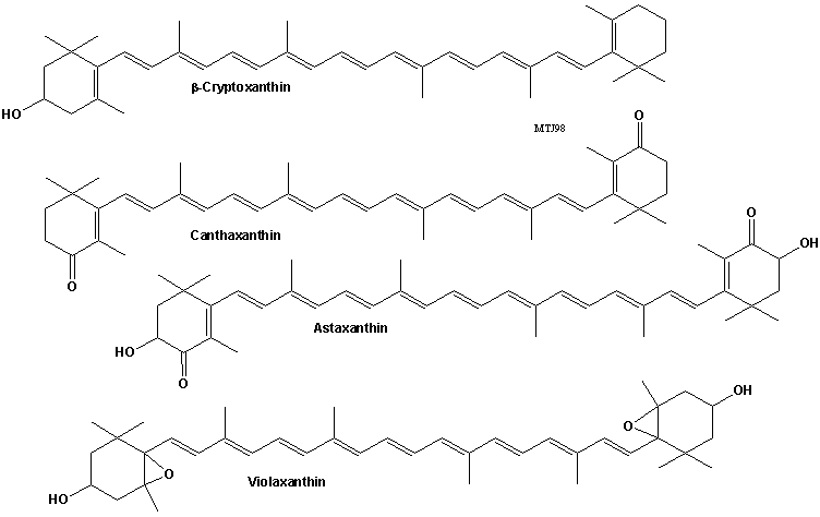 Den kemiske struktur af forskellige carotener