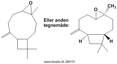 Strukturen af caryophyllenoxid