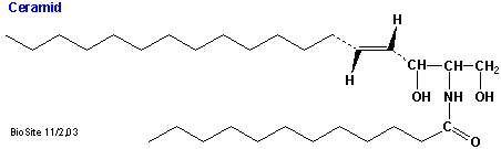Strukturen af et ceramid med en C12-fedtsyre amidbundet til sphingosin