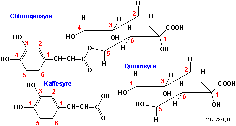 Strukturerne af chlorogensyre, kaffesyre og quininsyre