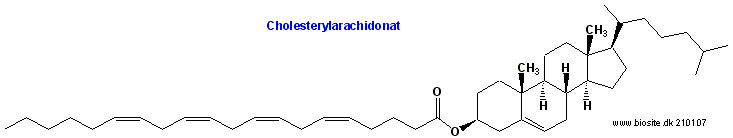 Strukturen af cholesterylarachidonat