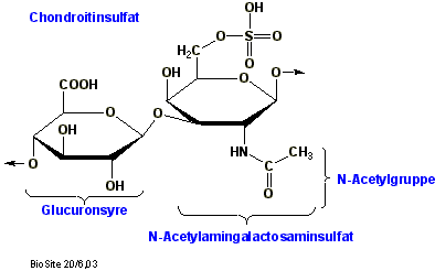 Strukturen af den gentagne enhed i chondroitinsulfat