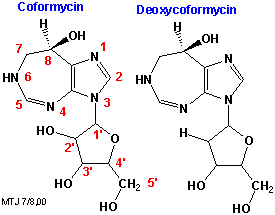 Strukturerne af coformycin og deoxycoformycin