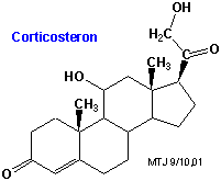 strukturen af corticosteron