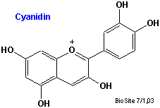 Strukturen af cyanidin