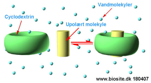 Ligevægt mellem fri cyclodextrin og gæstemolekyle og et kompleks mellem dem