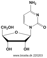 Structure of cytidine