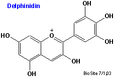 Strukturen af delphinidin