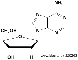 Strukturen af deoxyadenosine