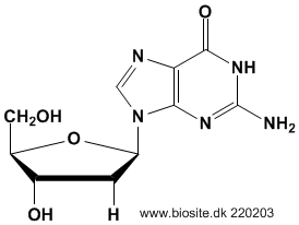 Strukturen af deoxyguanosin