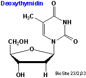 Strukturen af deoxythymidin