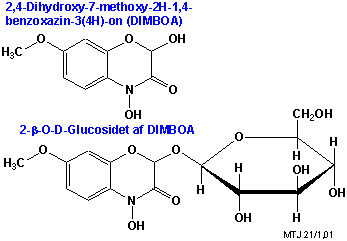 Strukturerne af DIMBOA og dets glucosid