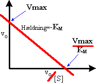 Eksempel p et Eadie-Hofstee plot