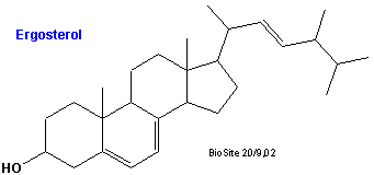 Den kemiske struktur af ergosterol