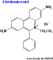 Strukturen af ethidiumbromid