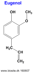 Strukturen af aromastoffet eugenol