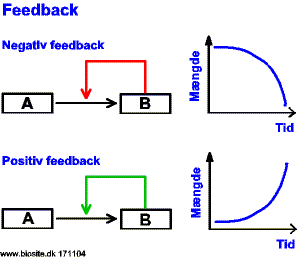 Eksempler på feedbackmekanismer