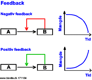 Eksempler p� feedbackmekanismer