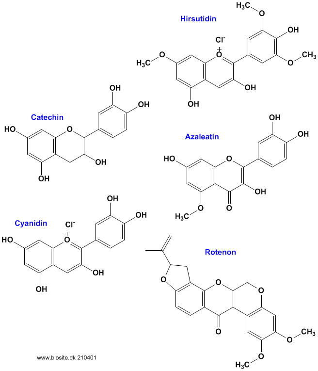 Den kemiske struktur af udvalgte flavon-forbindelse